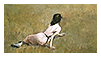 stamp: christina's world painting